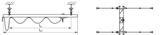 Double-girder suspension cranes